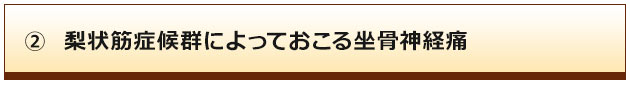 梨状筋症候群によっておこる坐骨神経痛